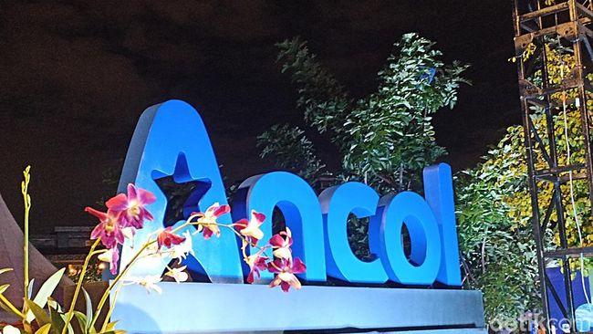 Ancol (ist)